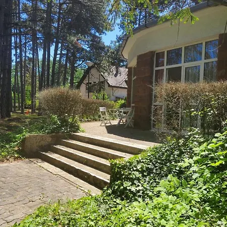 Liget Ueduelo Отель типа 