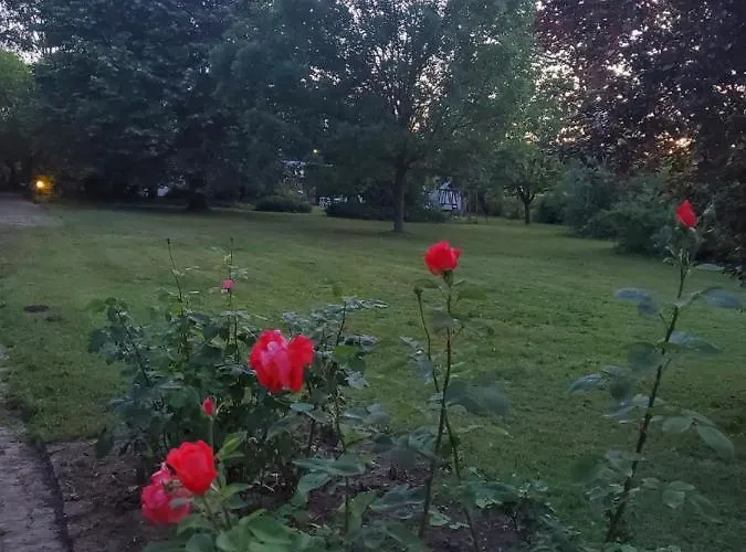 Bed & Breakfast Liget Ueduelo *